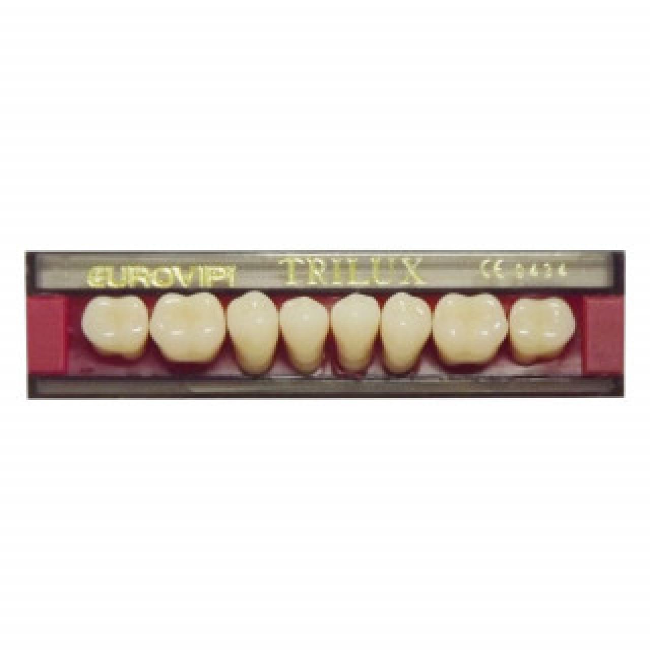 DENTE TRILUX M4 INFERIOR 1C - VIPI