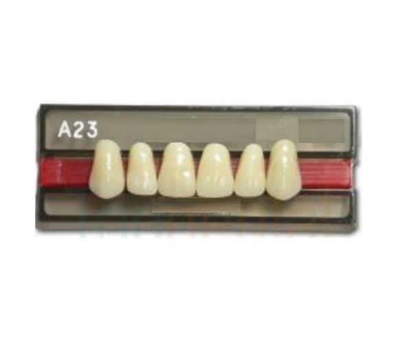 DENTE VIPI DENT A23 SUPERIOR 60