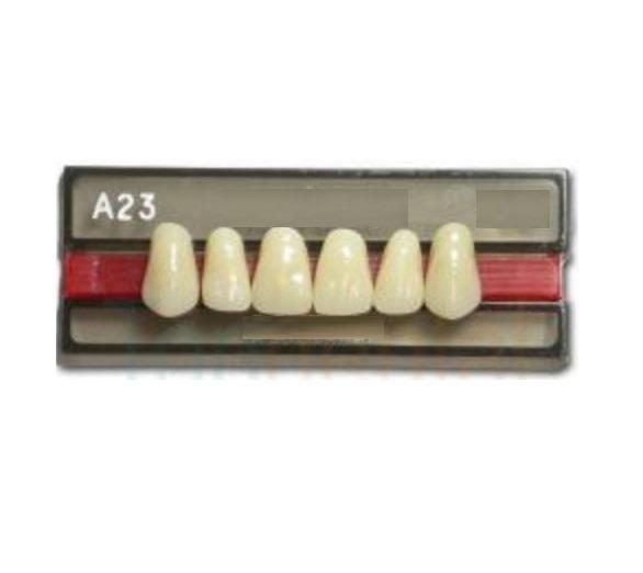 DENTE VIPI DENT A23 SUPERIOR 62