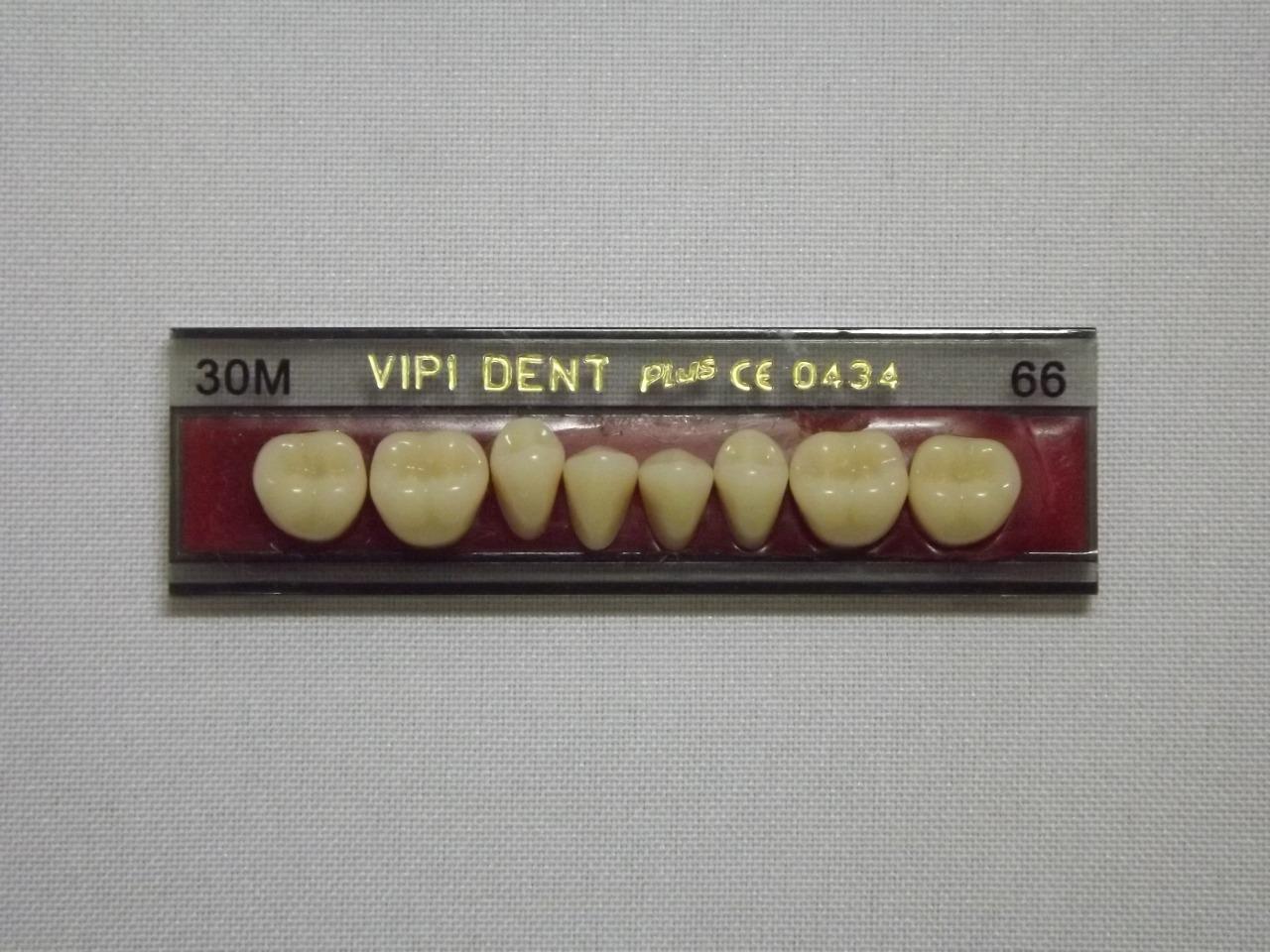 DENTE VIPI DENT 30M INFERIOR 66