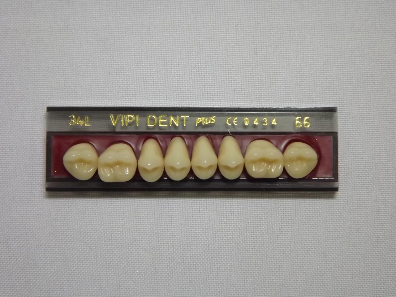 DENTE VIPI DENT 34L SUPERIOR 66