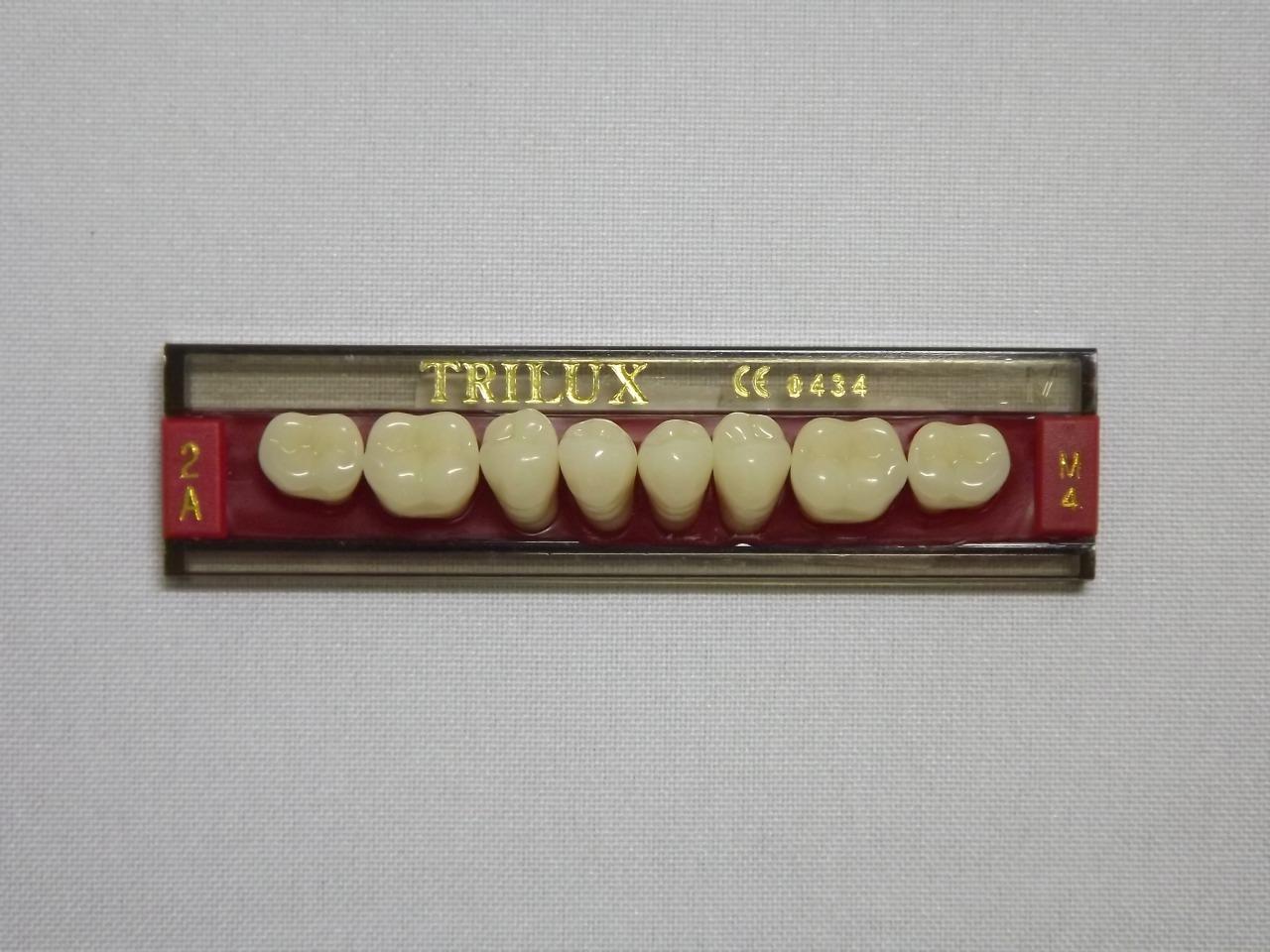 DENTE TRILUX M4 INFERIOR 2A