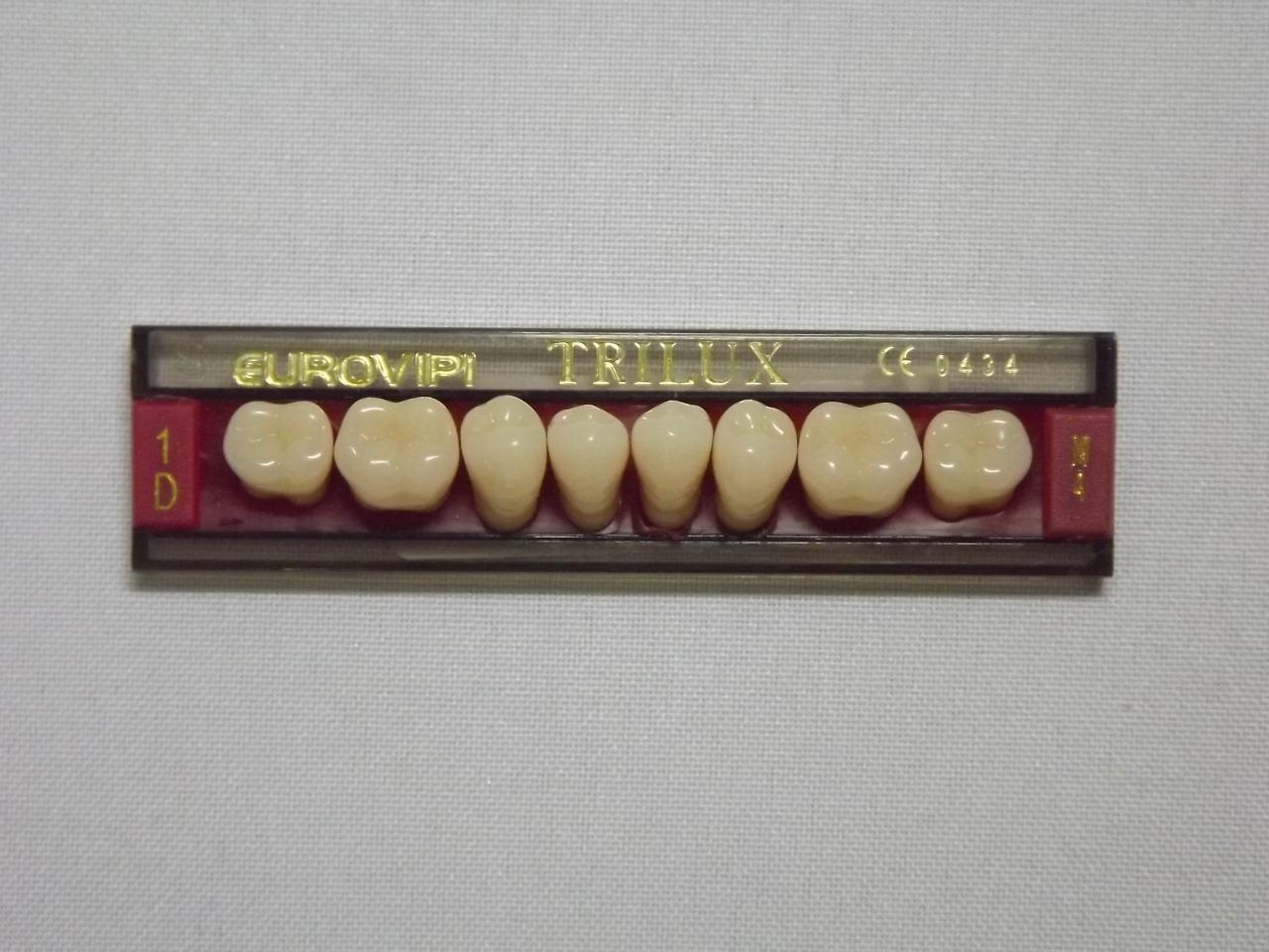 DENTE TRILUX M4 INFERIOR 1D