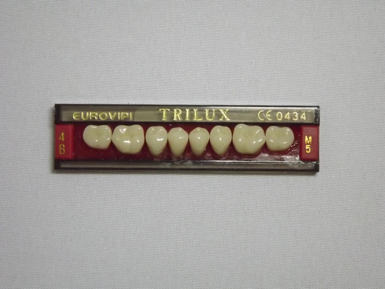 DENTE TRILUX M5 INFERIOR 4B