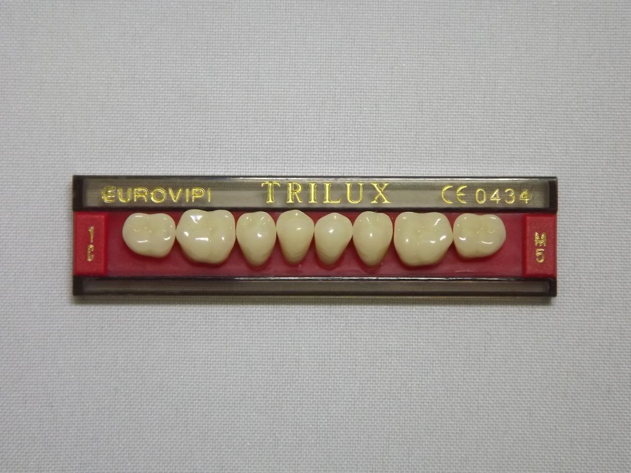 DENTE TRILUX M5 INFERIOR 1C