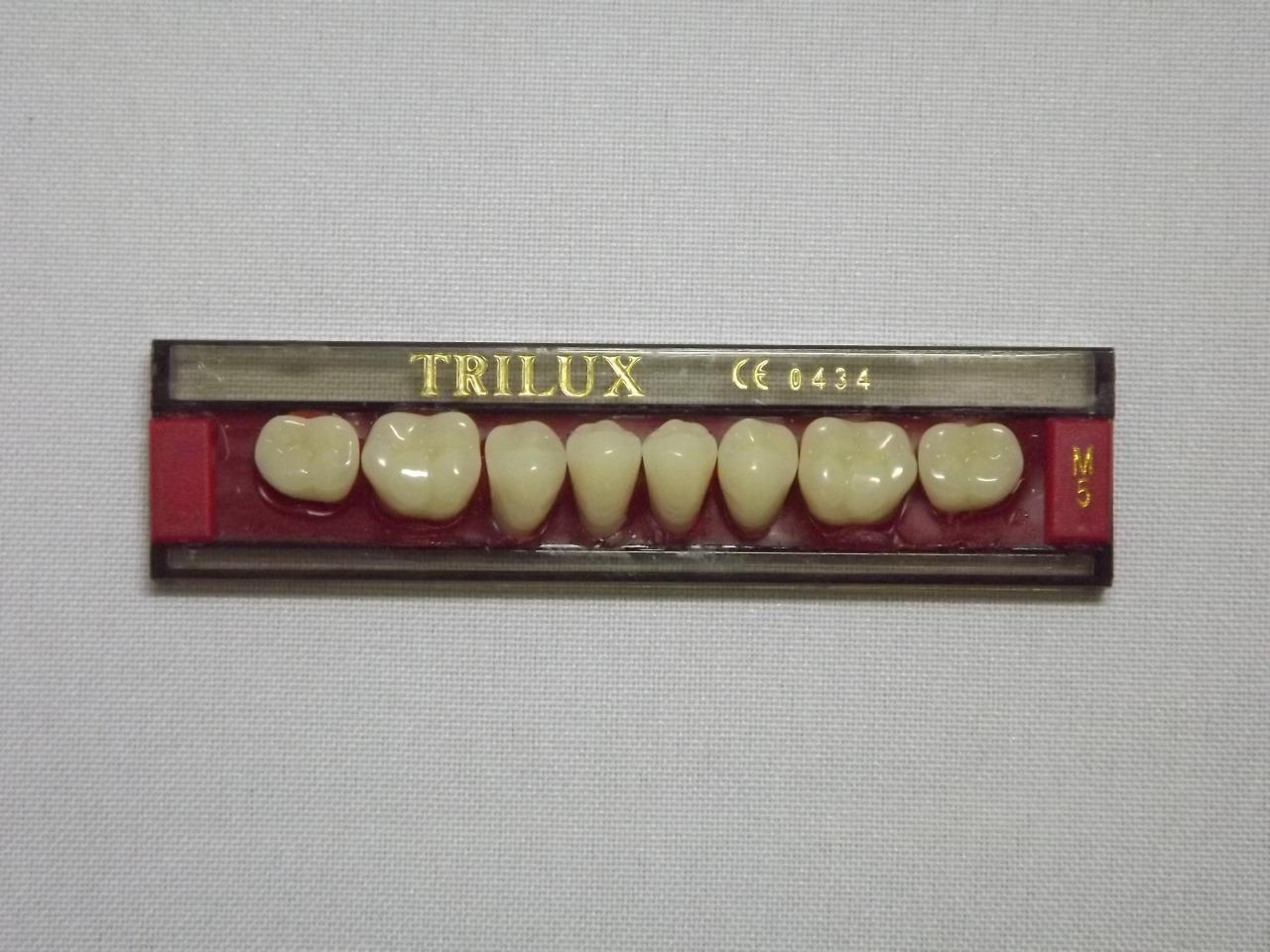 DENTE TRILUX M5 INFERIOR 1A