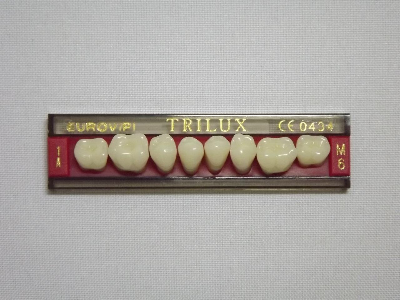 DENTE TRILUX M6 INFERIOR 1A