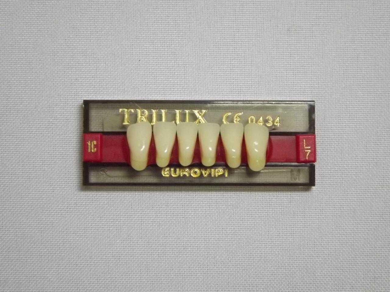 DENTE TRILUX L7 INFERIOR 1C