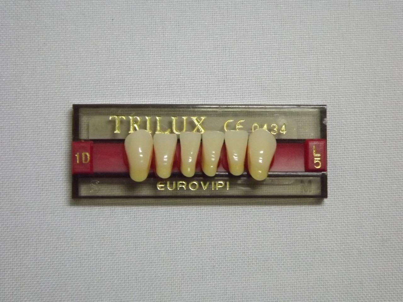 DENTE TRILUX L5 INFERIOR 1D