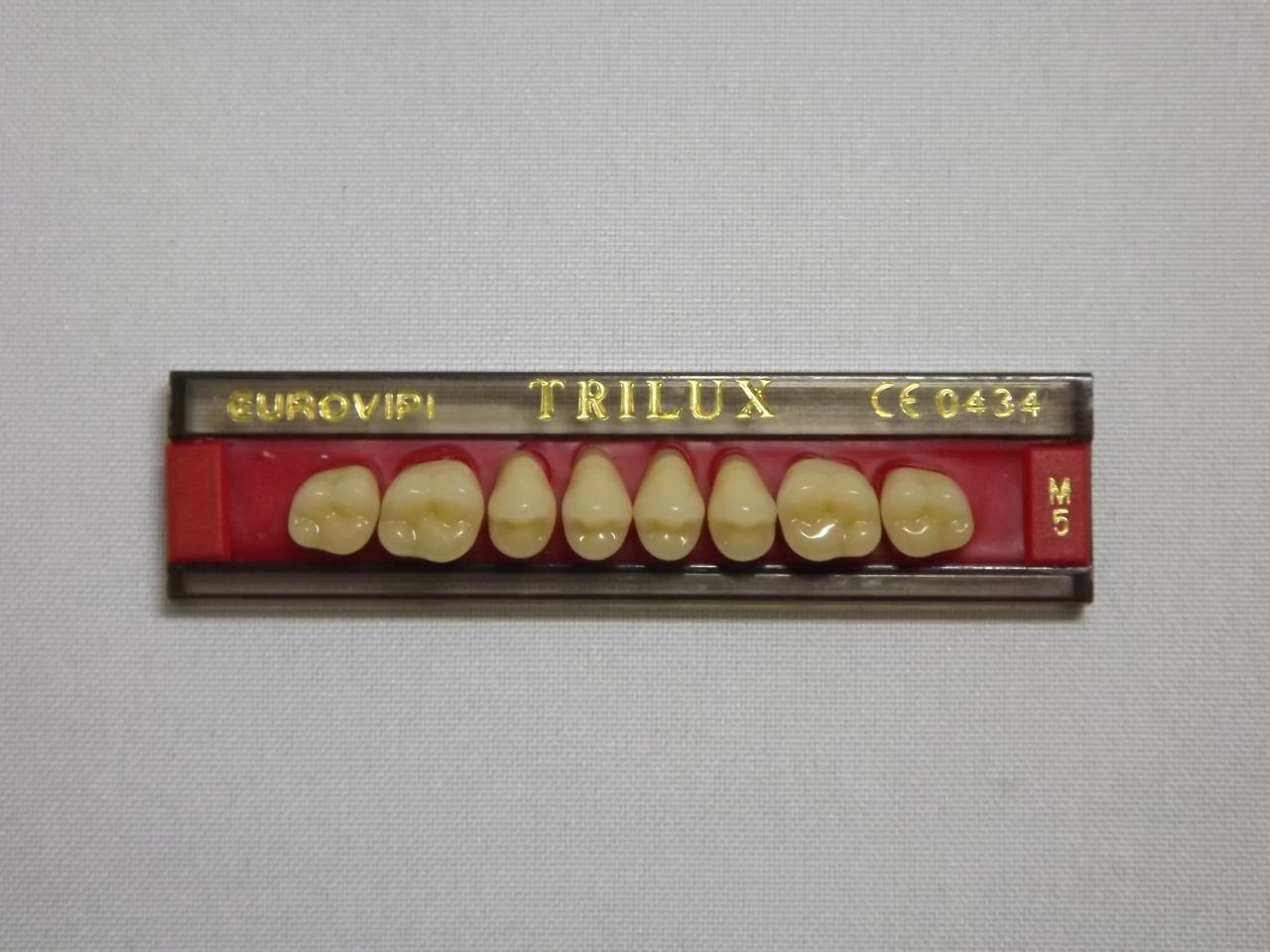 DENTE TRILUX M5 SUPERIOR 1A