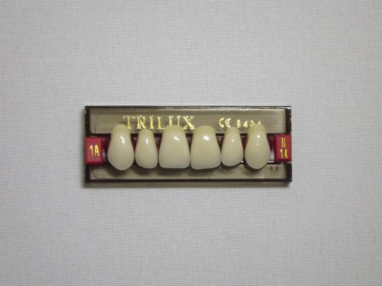 DENTE TRILUX R14 SUPERIOR 1A