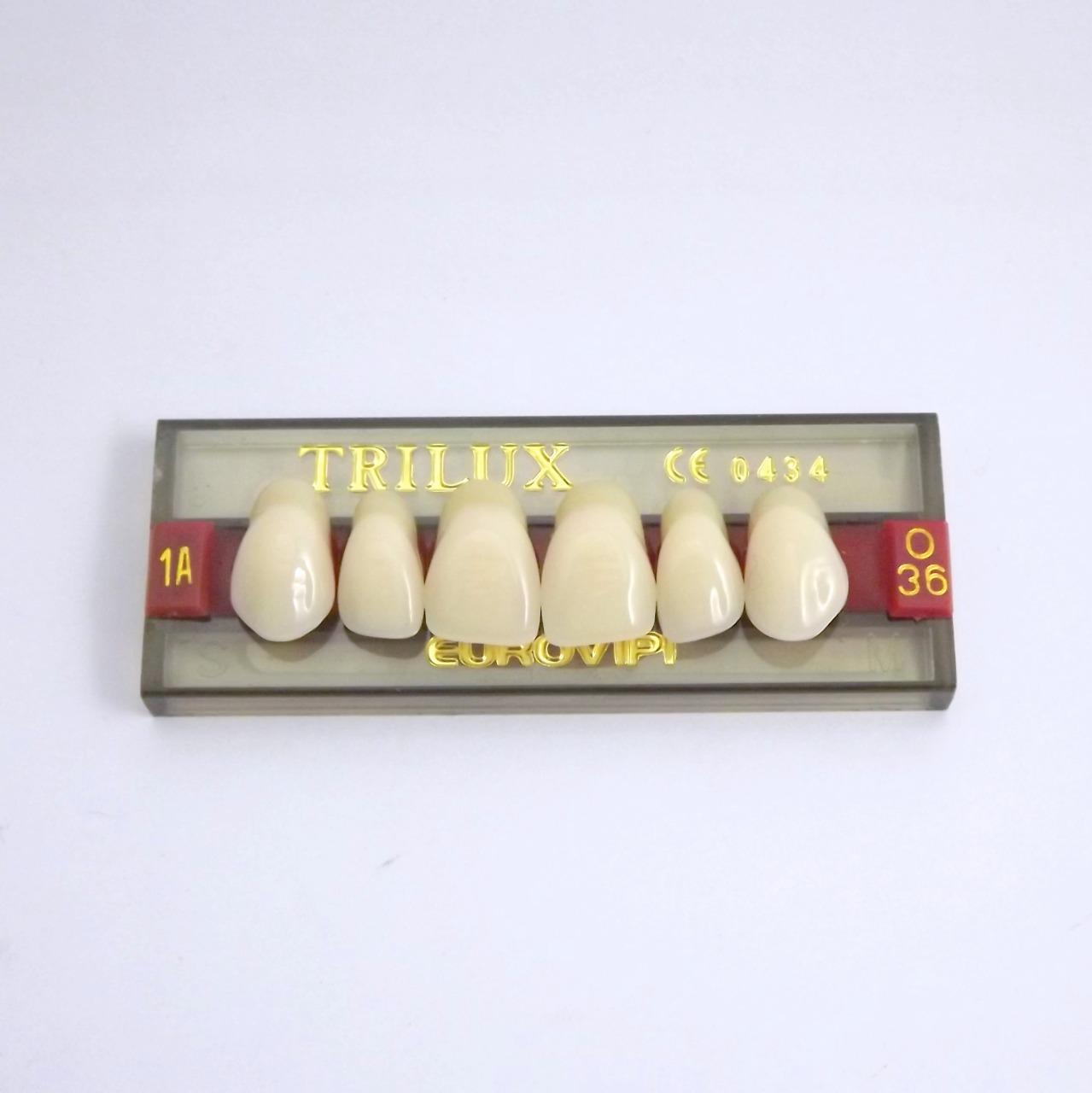 DENTE TRILUX O36 SUPERIOR 1A