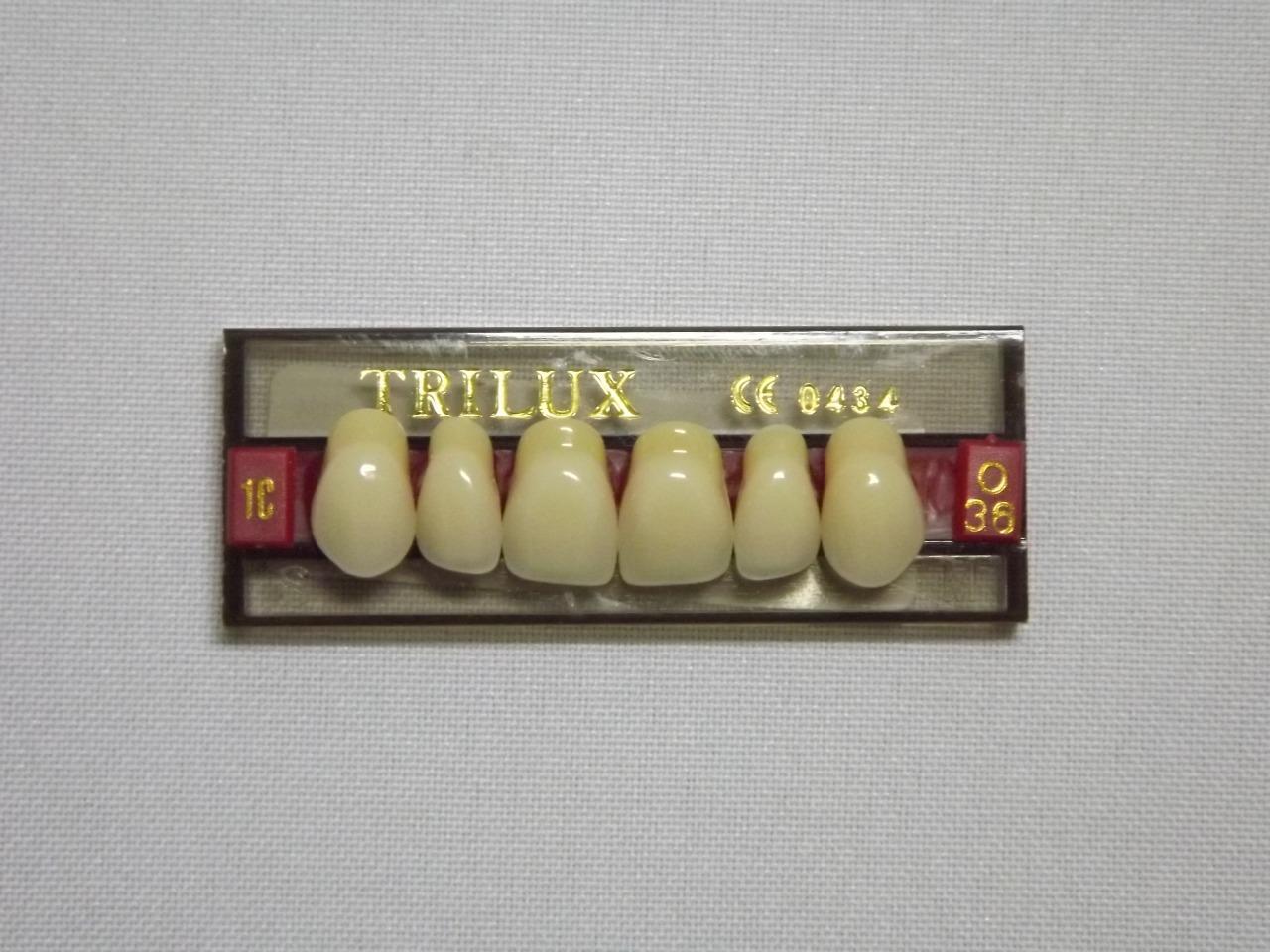 DENTE TRILUX O36 SUPERIOR 1C