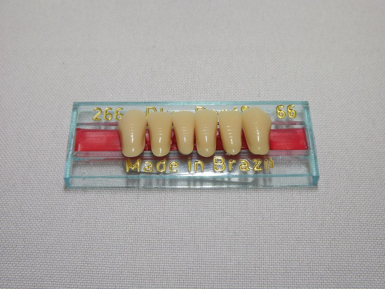 DENTE BLUE DENT 266 INFERIOR 66