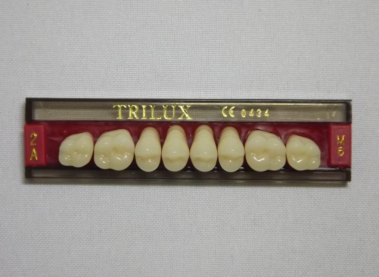 DENTE TRILUX M6 SUPERIOR 2A - VIPI