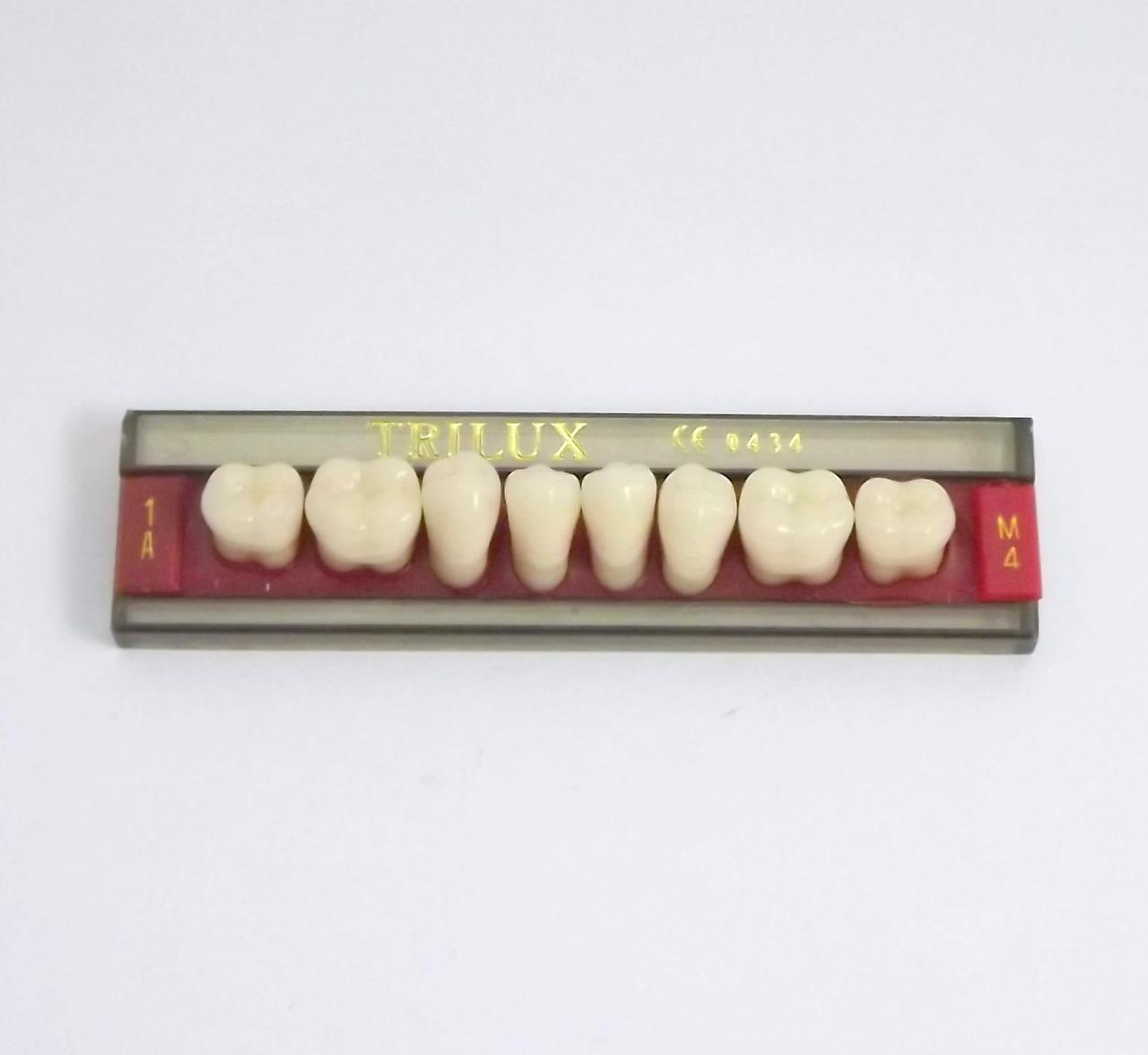 DENTE TRILUX M4 INFERIOR 1A - VIPI