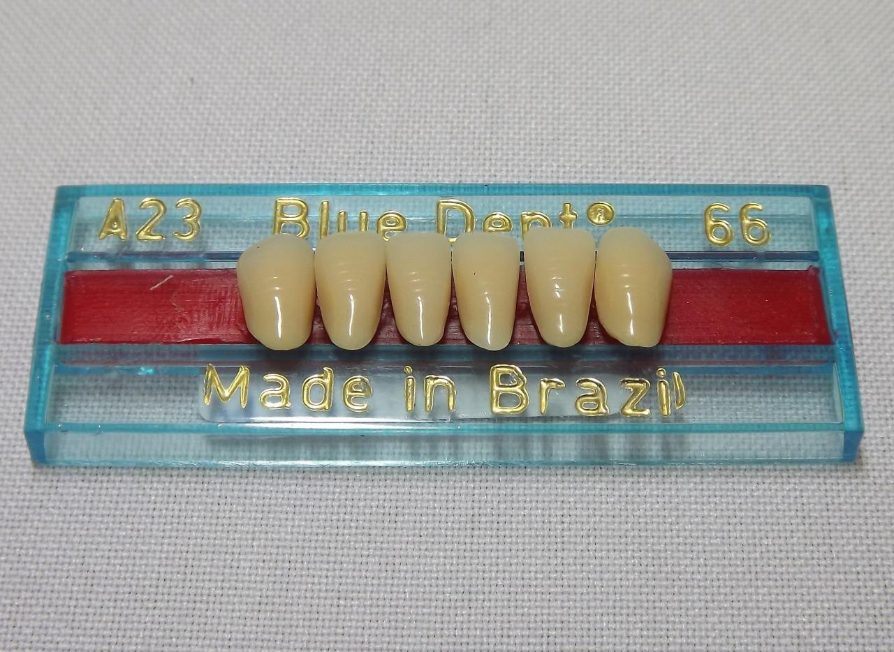 DENTE BLUE DENT A23 INFERIOR 66 - BLUE DENT