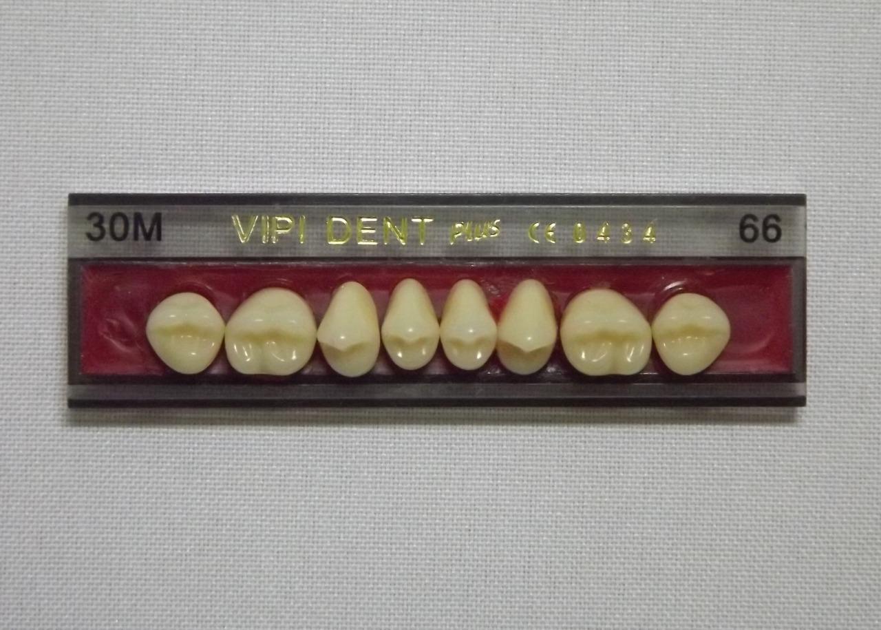 DENTE VIPI DENT 30M SUPERIOR 66 - VIPI