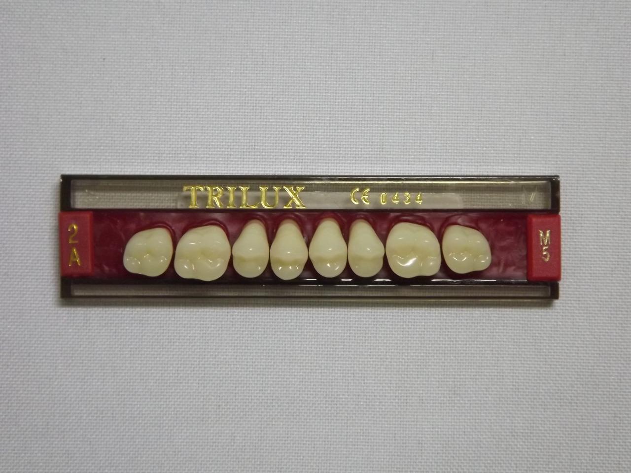 DENTE TRILUX M5 SUPERIOR 2A