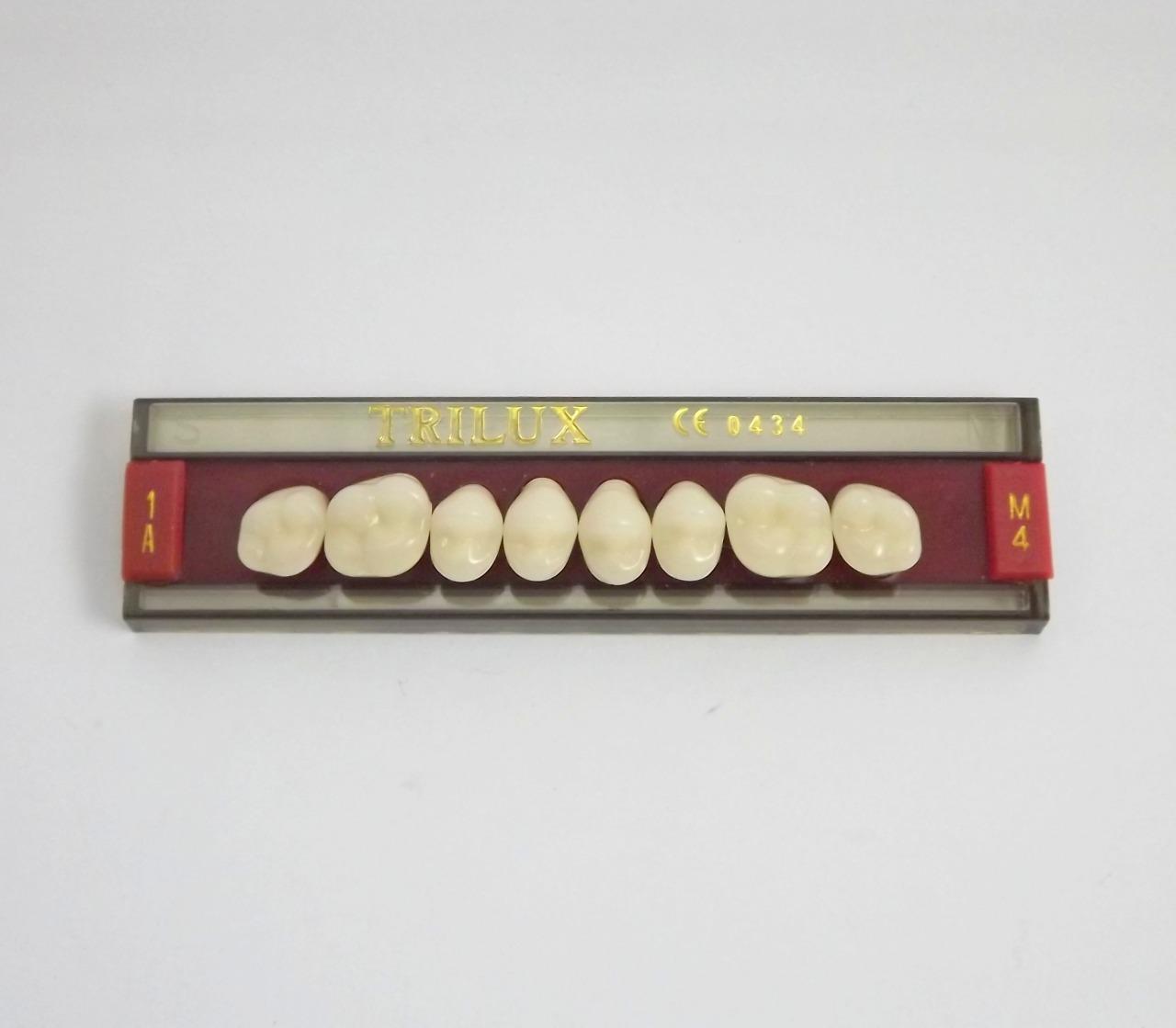 DENTE TRILUX M4 SUPERIOR 1A