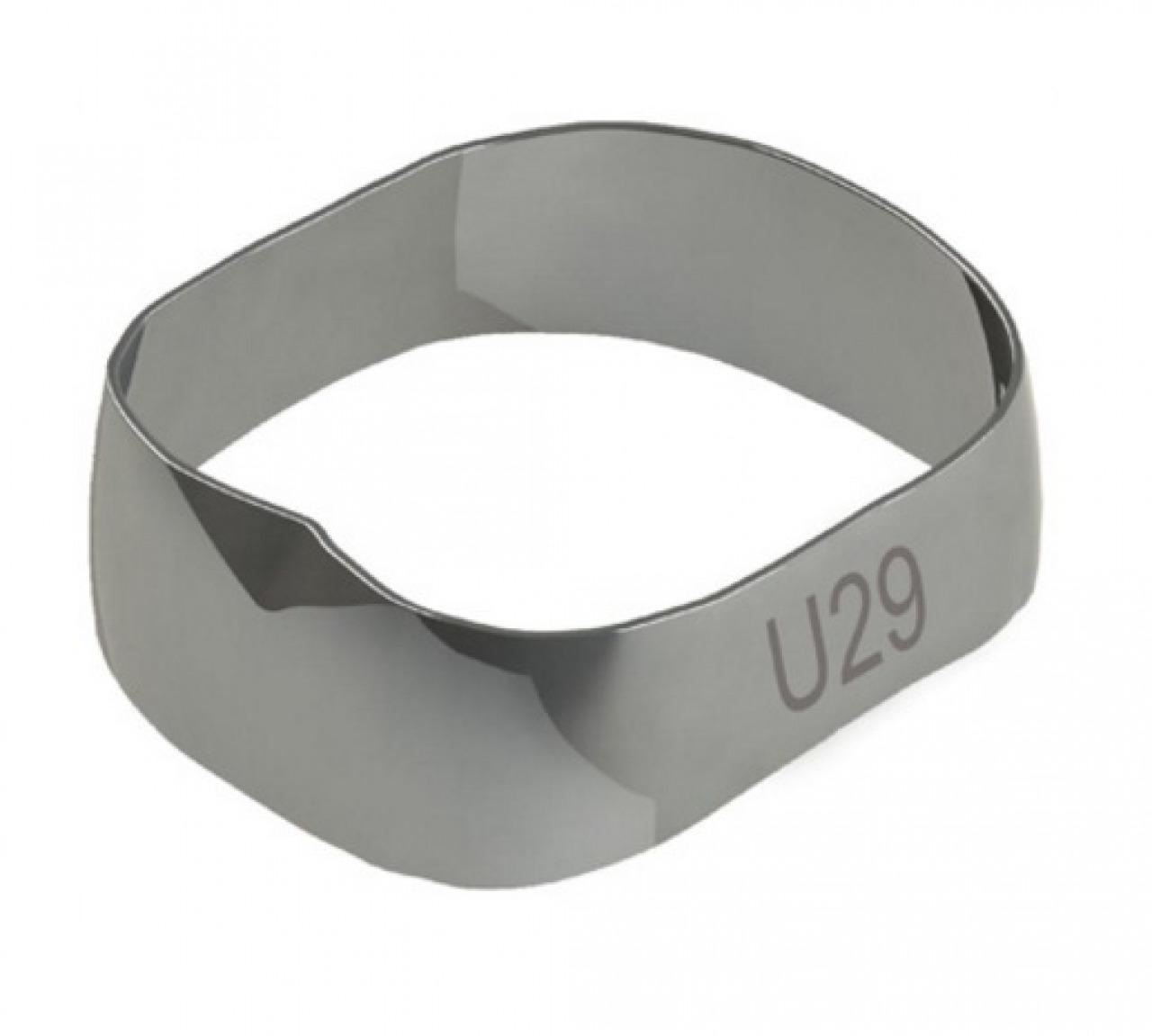 BANDA UNIVERSAL SUPERIOR 29 - MORELLI