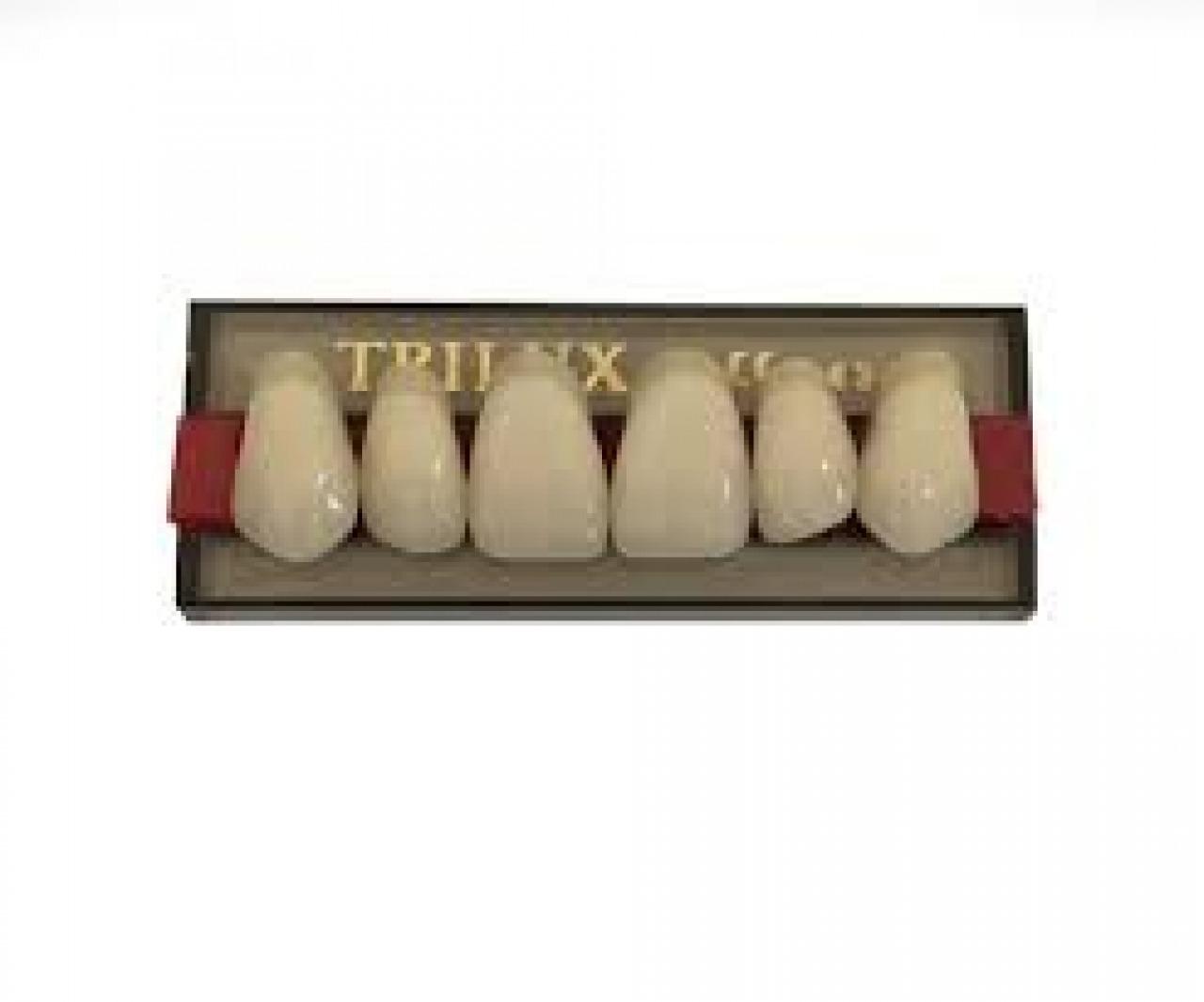 DENTE TRILUX O36 SUPERIOR 1D - VIPI