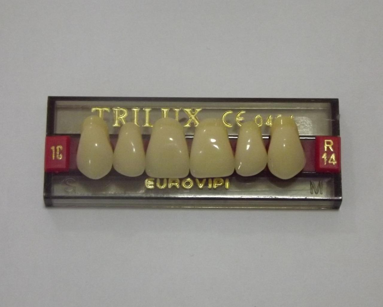 DENTE TRILUX R14 SUPERIOR 1C - VIPI