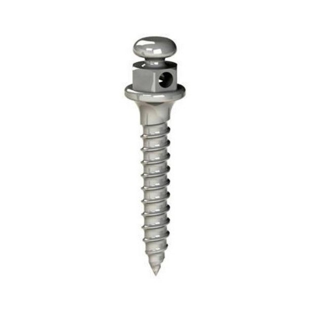 MINIPARAFUSO / MINI IMPLANTE ORTODÔNTICO PARA ANCORAGEM ABSOLUTA 8mm X 2mm - REF. 37.10.202 - MORELLI