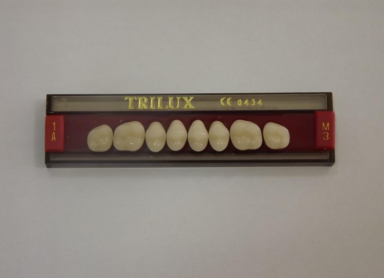 DENTE TRILUX M3 SUPERIOR 1A - VIPI