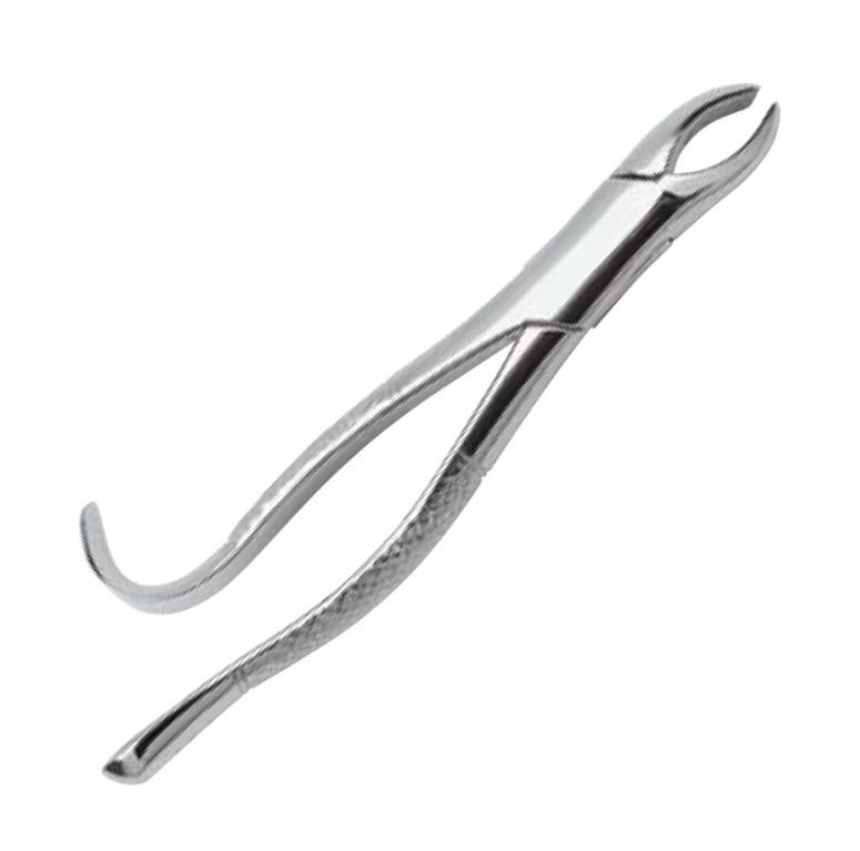 FORCEPS ADULTO 18L