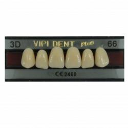 DENTE VIPI DENT 3D SUPERIOR 66 - VIPI