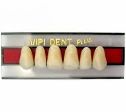 DENTE VIPI DENT 2D SUPERIOR 60 - VIPI