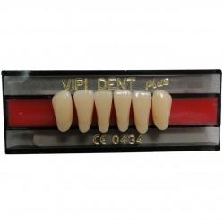 DENTE VIPI DENT 2P INFERIOR 62 - VIPI