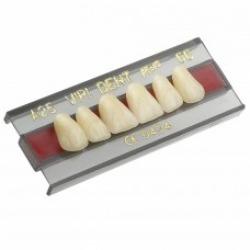 DENTE TRILUX R14 SUPERIOR 1D - VIPI