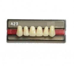 DENTE VIPI DENT A23 SUPERIOR 60 - VIPI