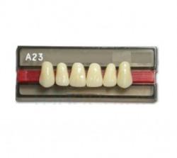 DENTE VIPI DENT A23 SUPERIOR 65 - VIPI