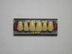 DENTE VIPI DENT 266 SUPERIOR 67 - VIPI