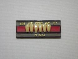 DENTE VIPI DENT A25 INFERIOR 67 - VIPI