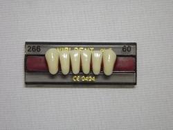 DENTE VIPI DENT 266 INFERIOR 60 - VIPI