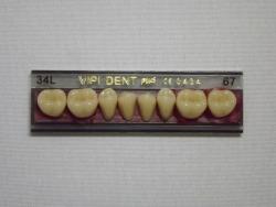 DENTE VIPI DENT 34L INFERIOR 67 - VIPI