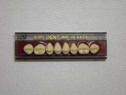 DENTE VIPI DENT 32M SUPERIOR 69 - VIPI