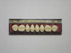 DENTE VIPI DENT 34L SUPERIOR 60 - VIPI