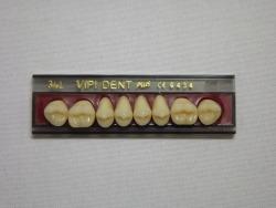 DENTE VIPI DENT 34L SUPERIOR 65 - VIPI