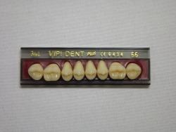 DENTE VIPI DENT 34L SUPERIOR 66 - VIPI