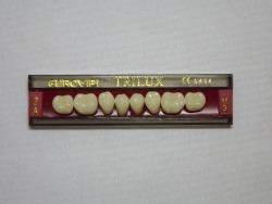 DENTE TRILUX M3 INFERIOR 2A - VIPI