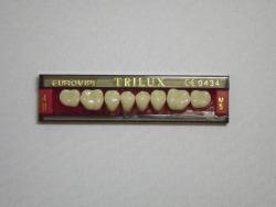 DENTE TRILUX M5 INFERIOR 4B - VIPI