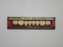 DENTE TRILUX M5 INFERIOR 1A - VIPI