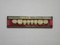 DENTE TRILUX M5 INFERIOR 2A - VIPI