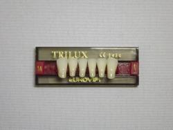 DENTE TRILUX L7 INFERIOR 1A - VIPI