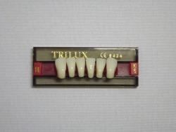 DENTE TRILUX K6 INFERIOR 1A - VIPI